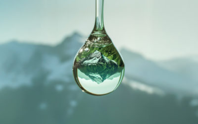 Le traitement naturel de l’eau